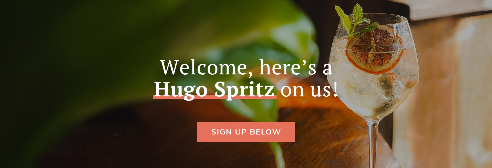 Sign up to the newsletter at The Champion