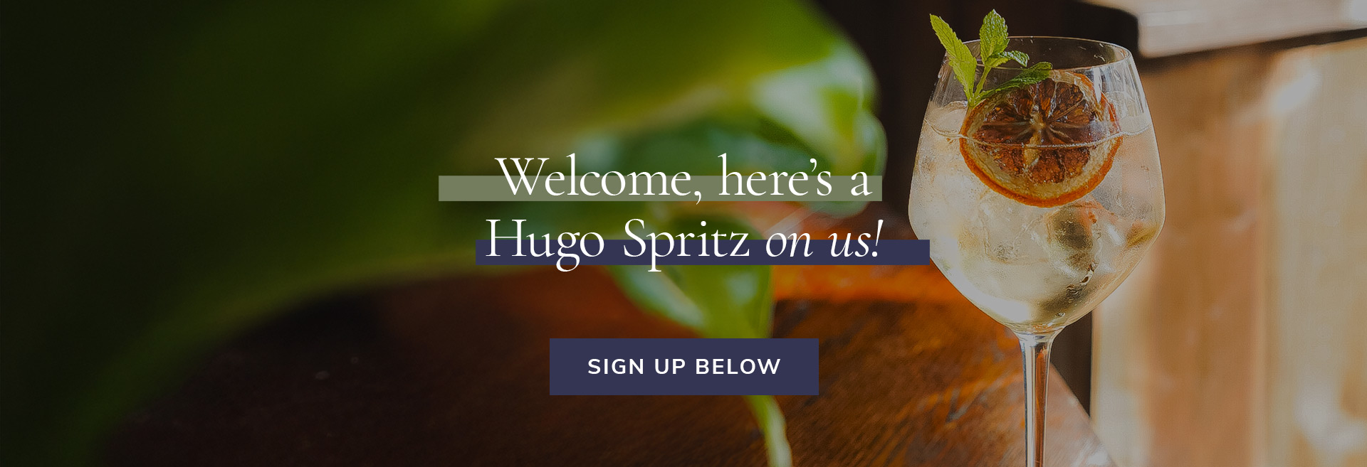 Sign up to the newsletter at The Champion